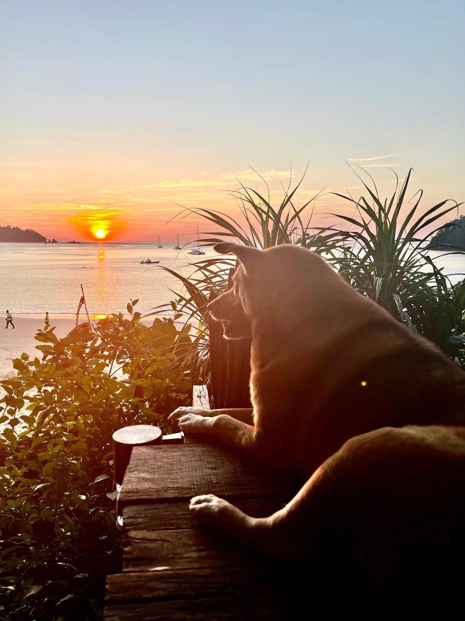 Starlight Beach Resort Koh Phayam Luaran gambar