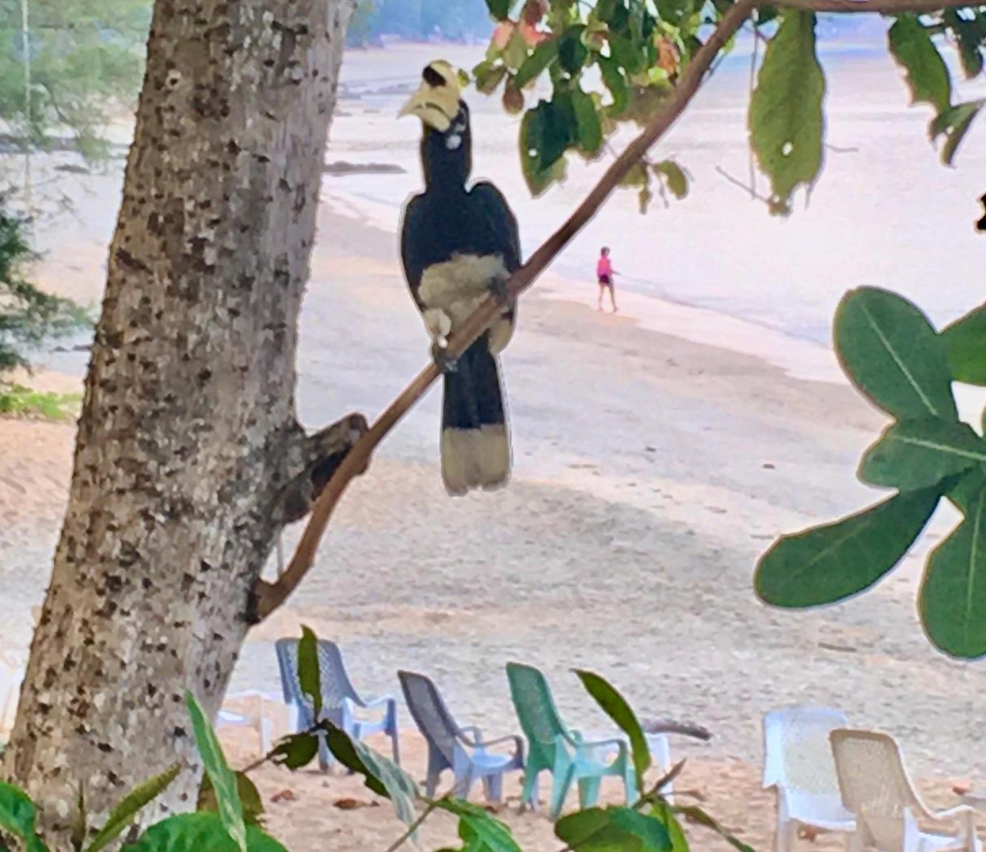 Starlight Beach Resort Koh Phayam Luaran gambar